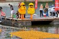 Maschsee13   729